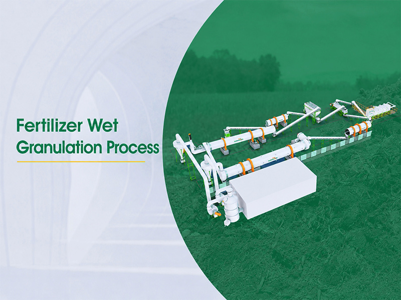 Fertilizer Wet Granulation Process